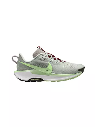NIKE | Scarpe da trail running da uomo Pegasus Trail 5 |